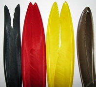 ������� ���� ���� duck quills  ����� 4 �����